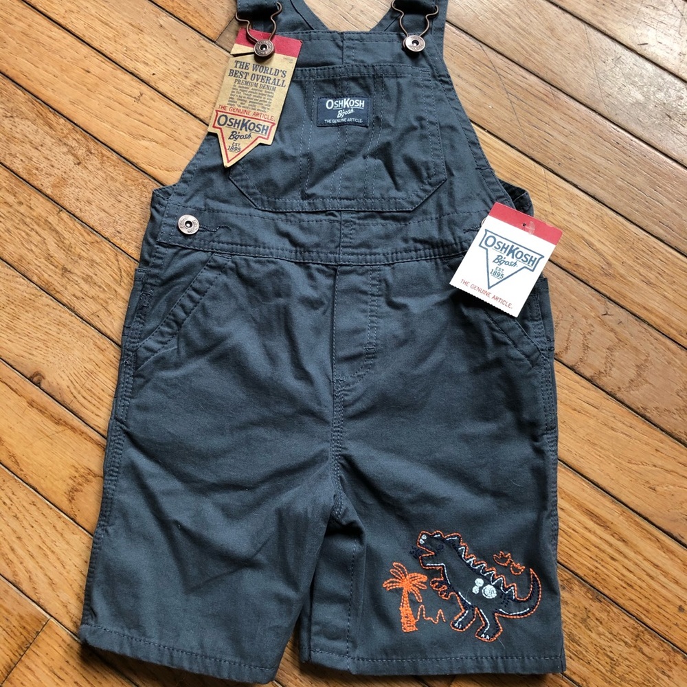 Embroidered Dinosaur Overalls